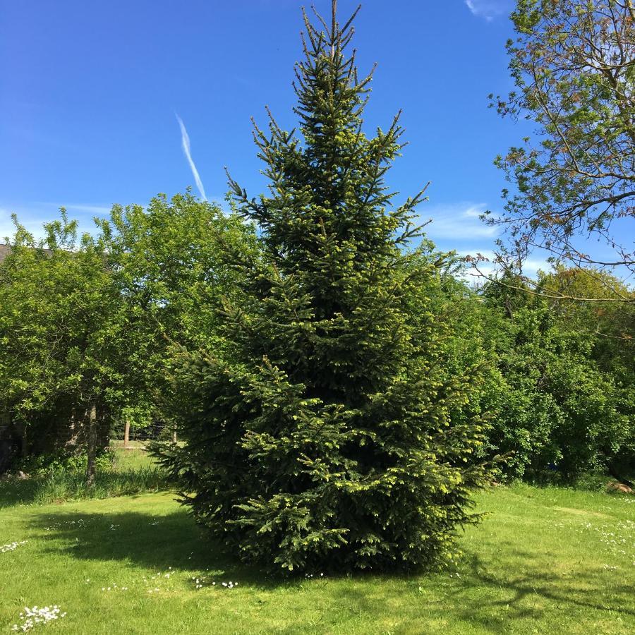 Lieu Dit Le Jardin Saint-Lambert  Esterno foto